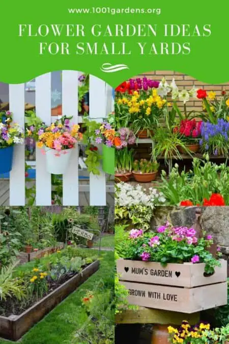 Flowers & Plants - 1001 Gardens